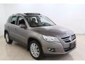 Alpine Grey Metallic - Tiguan SE 4Motion Photo No. 1