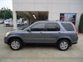 Pewter Pearl - CR-V Special Edition 4WD Photo No. 2