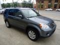 Pewter Pearl - CR-V Special Edition 4WD Photo No. 3