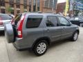 Pewter Pearl - CR-V Special Edition 4WD Photo No. 11