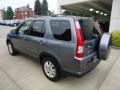 Pewter Pearl - CR-V Special Edition 4WD Photo No. 12