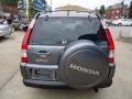 Pewter Pearl - CR-V Special Edition 4WD Photo No. 17