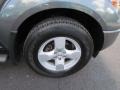 Storm Gray - Frontier LE Crew Cab 4x4 Photo No. 4