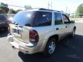 Sandstone Metallic - TrailBlazer LS 4x4 Photo No. 7