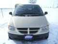 1999 Champagne Pearl Dodge Caravan LE  photo #3