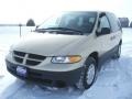 1999 Champagne Pearl Dodge Caravan LE  photo #4