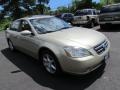 Velvet Beige - Altima 3.5 SE Photo No. 3
