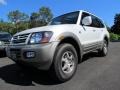 Glacier White Pearlescent 2002 Mitsubishi Montero Limited 4x4