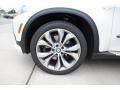 Alpine White - X5 4.8i Photo No. 8