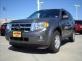 2009 Sterling Grey Metallic Ford Escape XLT  photo #1