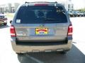 2009 Sterling Grey Metallic Ford Escape XLT  photo #3