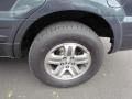 Sage Brush Pearl - Pilot EX 4WD Photo No. 10