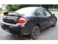 2004 Black Dodge Neon SXT  photo #5