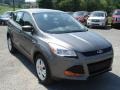 Sterling Gray Metallic 2013 Ford Escape S Exterior