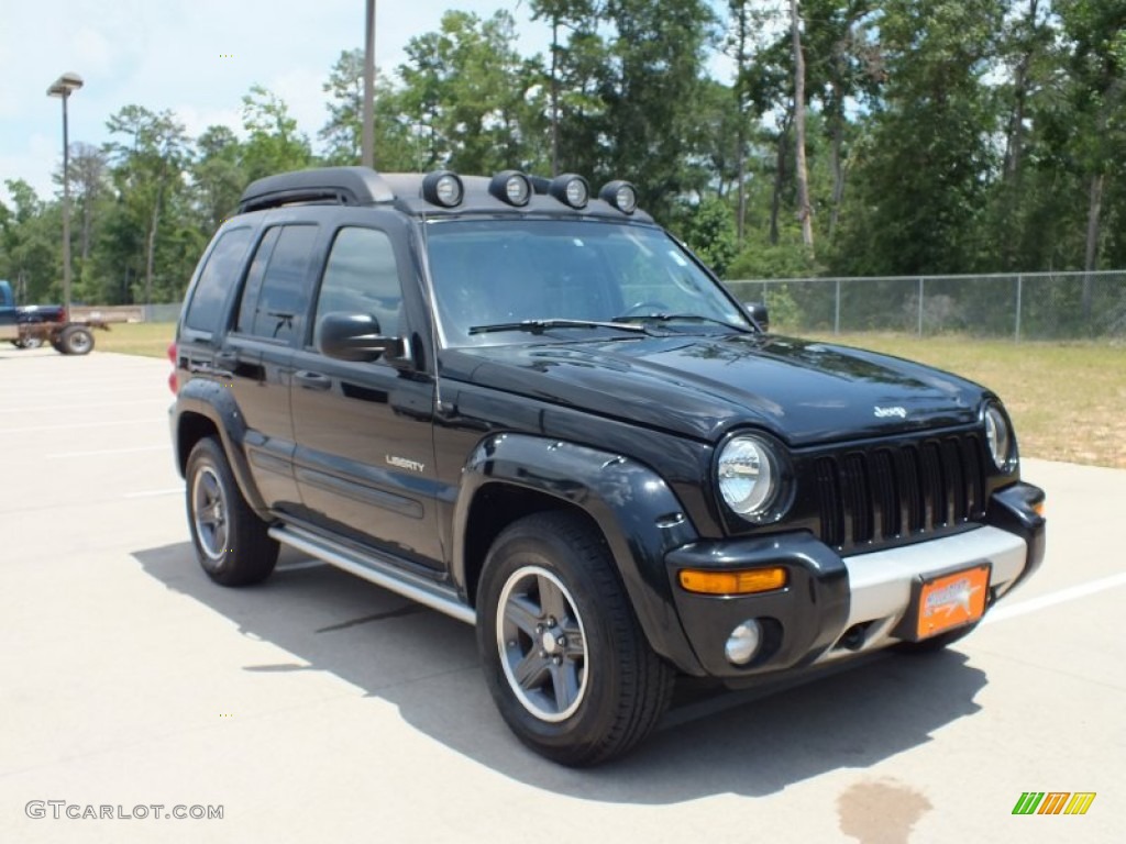 2004 Liberty Renegade - Black Clearcoat / Light Taupe/Dark Slate Gray photo #1