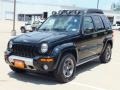 2004 Black Clearcoat Jeep Liberty Renegade  photo #9