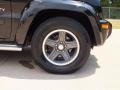 Black Clearcoat - Liberty Renegade Photo No. 46