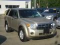 Gold Leaf Metallic 2010 Ford Escape XLS 4WD