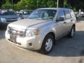 Gold Leaf Metallic - Escape XLS 4WD Photo No. 3