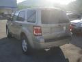 Gold Leaf Metallic - Escape XLS 4WD Photo No. 4