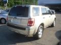 Gold Leaf Metallic - Escape XLS 4WD Photo No. 6