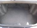 Blackberry Pearl Coat - 200 LX Sedan Photo No. 19