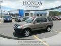 Mojave Mist Metallic - CR-V EX 4WD Photo No. 1