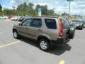 Mojave Mist Metallic - CR-V EX 4WD Photo No. 3