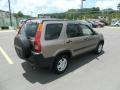 Mojave Mist Metallic - CR-V EX 4WD Photo No. 5
