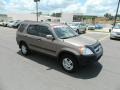 Mojave Mist Metallic - CR-V EX 4WD Photo No. 7
