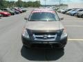Mojave Mist Metallic - CR-V EX 4WD Photo No. 8