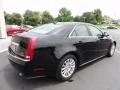 Black Raven - CTS 3.0 Sedan Photo No. 9
