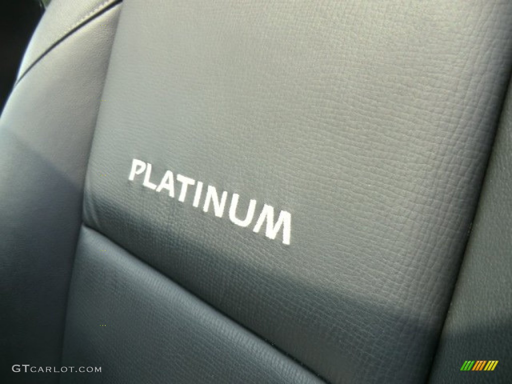 2010 Armada Platinum 4WD - Galaxy Black Metallic / Charcoal photo #17