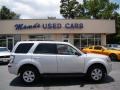 Ingot Silver Metallic 2010 Mercury Mariner V6