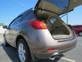 2009 Tinted Bronze Metallic Nissan Murano SL  photo #13