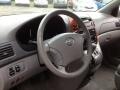 2010 Silver Shadow Pearl Toyota Sienna XLE  photo #28