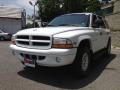 1999 Bright White Dodge Durango SLT 4x4  photo #3