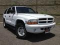 1999 Bright White Dodge Durango SLT 4x4  photo #4