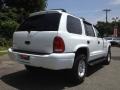 1999 Bright White Dodge Durango SLT 4x4  photo #8