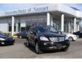 Black - ML 350 4Matic Photo No. 1