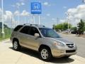 Desert Rock Metallic - MDX Touring Photo No. 2