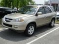 Desert Rock Metallic - MDX Touring Photo No. 42