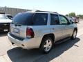 Silverstone Metallic - TrailBlazer LT 4x4 Photo No. 4