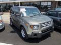 Galaxy Gray Metallic - Element EX AWD Photo No. 1