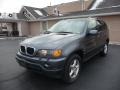 Steel Grey Metallic 2002 BMW X5 3.0i