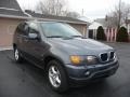 Steel Grey Metallic - X5 3.0i Photo No. 2