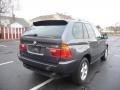 Steel Grey Metallic - X5 3.0i Photo No. 3