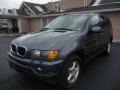 Steel Grey Metallic - X5 3.0i Photo No. 11