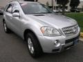 2006 Iridium Silver Metallic Mercedes-Benz ML 500 4Matic  photo #9