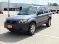 2007 Tungsten Grey Metallic Ford Escape XLS  photo #9